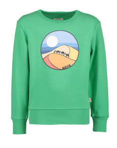 AO76 Groene sweater sahara print 