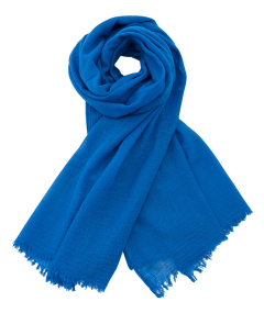 Humanoid Blauwe sjaal Wytze 