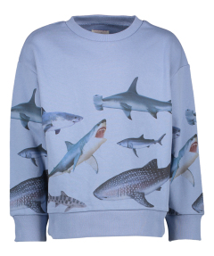 AO76 Blauwe sweater met ronde hals en haaien AO